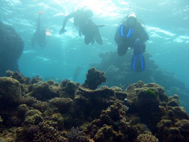 Excursion de buceo